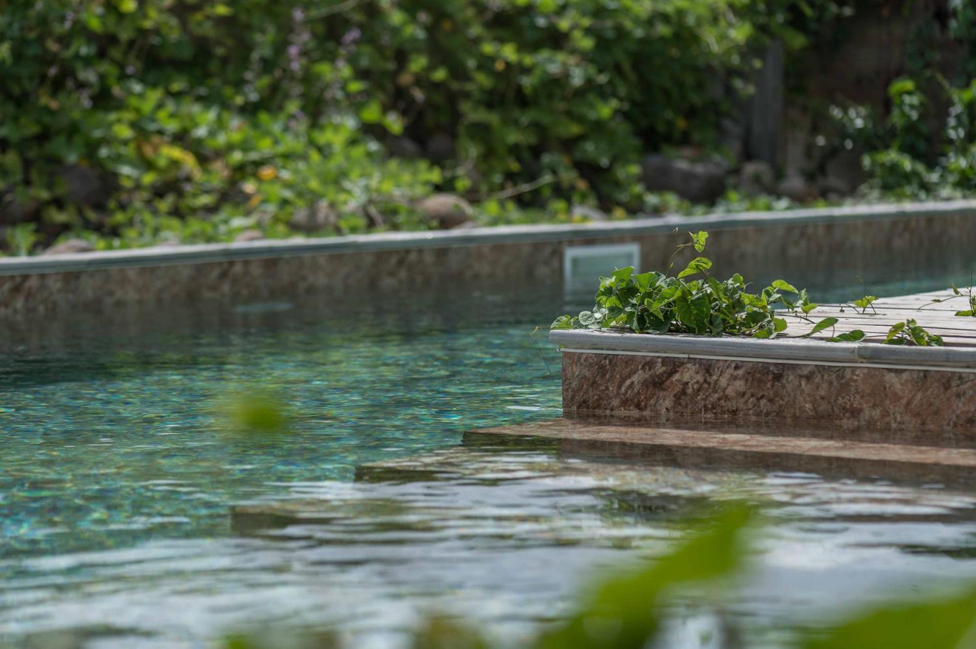 T2 Moderne Avec Piscine Oasis De Nature Et Serenite Petit-Canal Εξωτερικό φωτογραφία